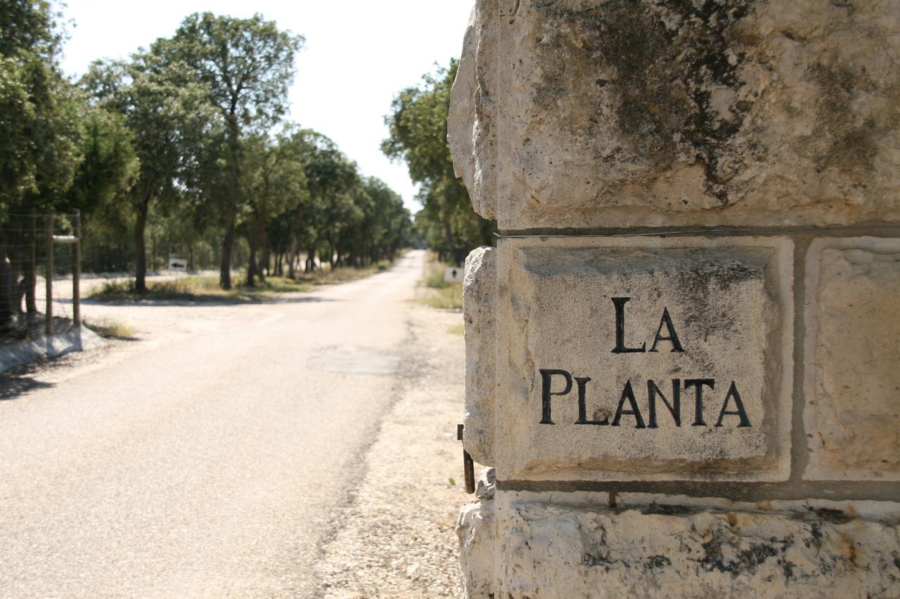 La Casita De La Planta Quintanilla de Onésimo Exterior foto